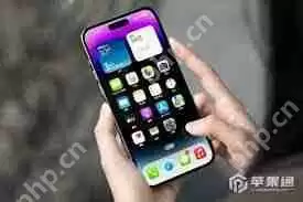 苹果手机怎样开启实时网速功能