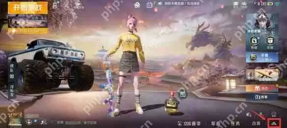 和平精英战队退出方法