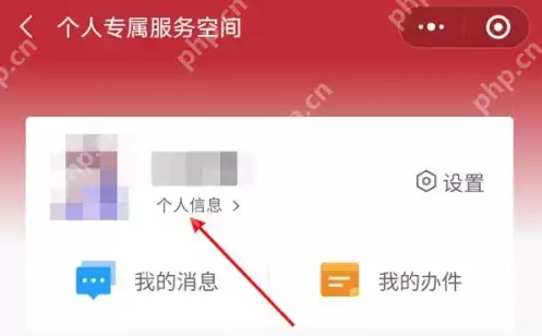 国家政务服务平台如何操作 国家政务服务平台操作绑定手机号方法