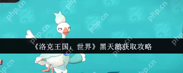 洛克王国黑天鹅速刷指南 熔岩岛进化三大隐藏条件全解析