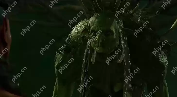 博德之门3​鬼婆不给头皮原因