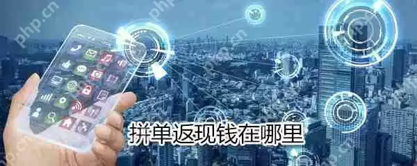 拼单返现钱在什么位置_拼单返现钱位置分享