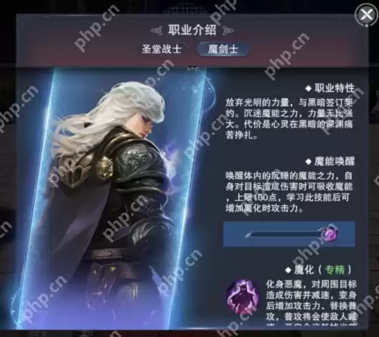 新神魔大陆魔剑士技能介绍