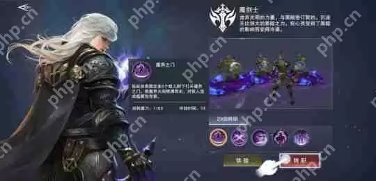 新神魔大陆魔剑士技能介绍