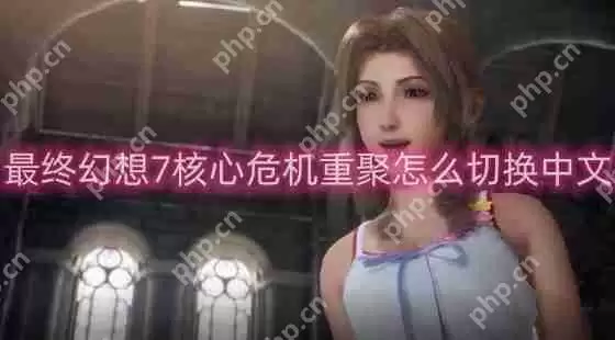 最终幻想7核心危机重聚怎么切换中文