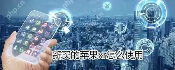 新买的苹果xr如何使用?新买的苹果xr使用方法分享