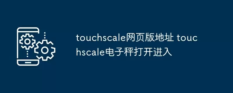touchscale网页版地址 touchscale电子秤打开进入