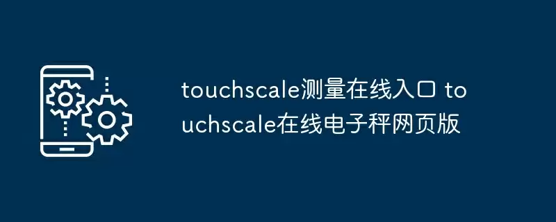 touchscale测量在线入口 touchscale在线电子秤网页版