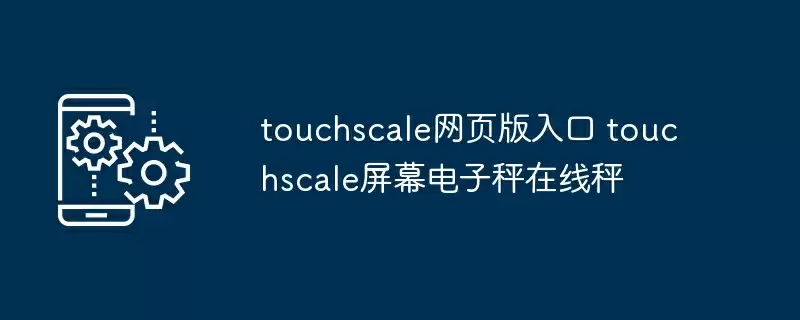 touchscale网页版入口 touchscale屏幕电子秤在线秤