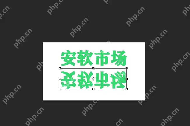 ps镜像在什么位置_ps镜像位置介绍