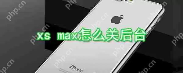iPhonexs max怎么关后台_xs max后台关闭方式详解