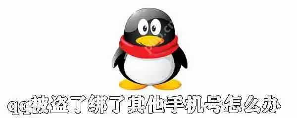 qq被盗了绑了其他手机号怎么办?qq号被盗找回方法解析
