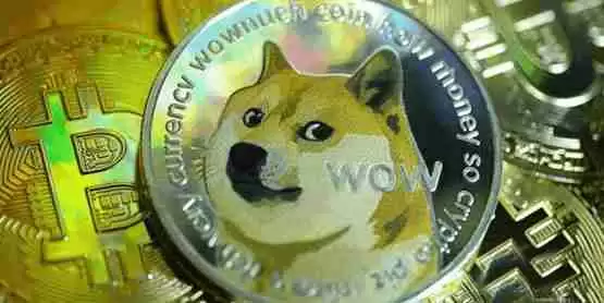 2025年会有狗狗币ETF吗?分析师观点介绍