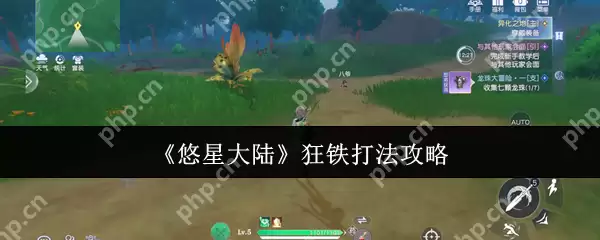 悠星大陆狂铁终极猎杀指南 近战克星教你无伤通关