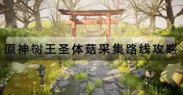 原神树王圣体菇采集路线攻略