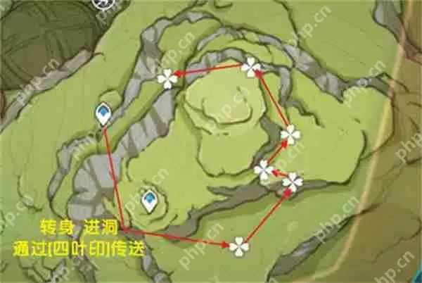 原神树王圣体菇采集路线攻略