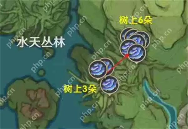 原神树王圣体菇采集路线攻略