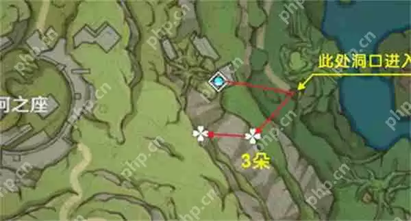 原神树王圣体菇采集路线攻略