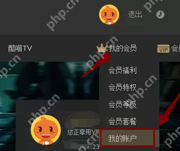 续费会员如何关闭？续费会员关闭方法分享