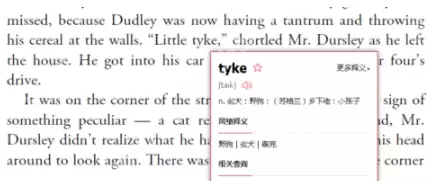 有道词典怎么离线查询？有道词典离线查询方法介绍