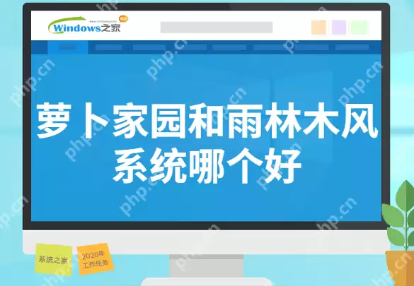 萝卜家园和雨林木风系统哪个好
