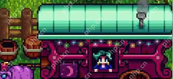 星露谷物语鹦鹉螺获取攻略