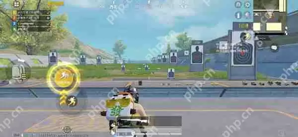 和平精英瞬狙技巧攻略