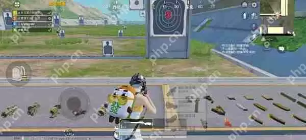 和平精英瞬狙技巧攻略