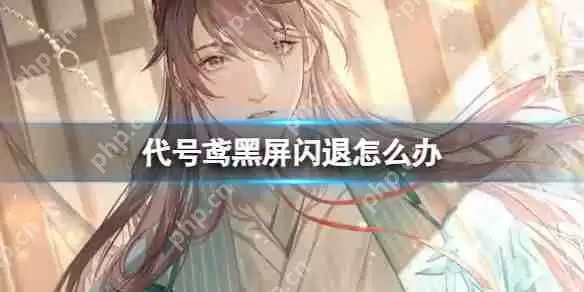 代号鸢黑屏闪退怎么办