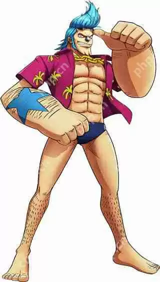 航海王燃烧意志全人物图鉴