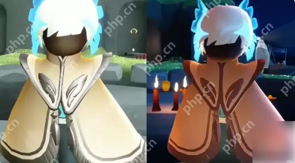 光遇青鸟季毕业礼是什么 光遇青鸟季毕业礼介绍