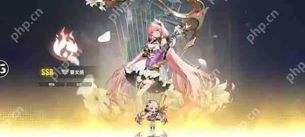 时隙之旅阵容怎么搭配  时隙之旅阵容搭配推荐