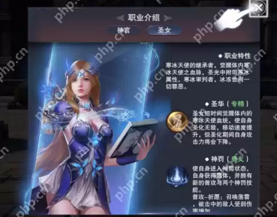 新神魔大陆圣女怎么样