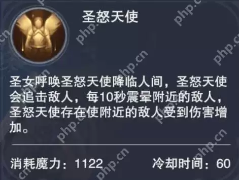 新神魔大陆圣女怎么样