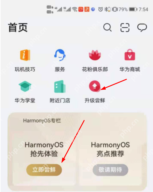华为p30和华为p30pro什么时候能升级鸿蒙系统