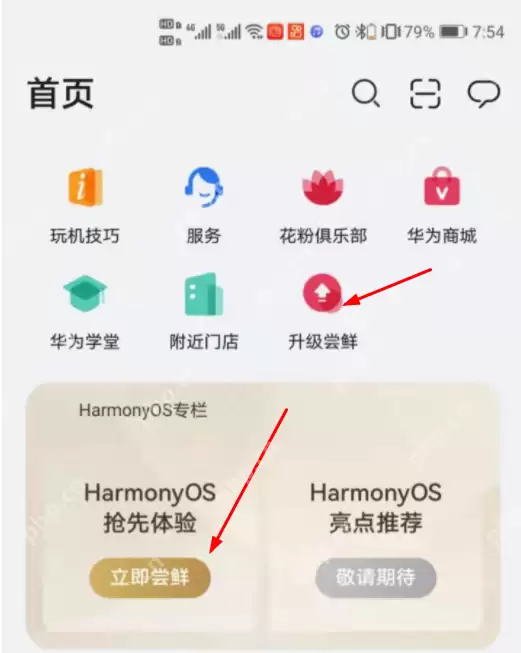华为p30和华为p30pro什么时候能升级鸿蒙系统