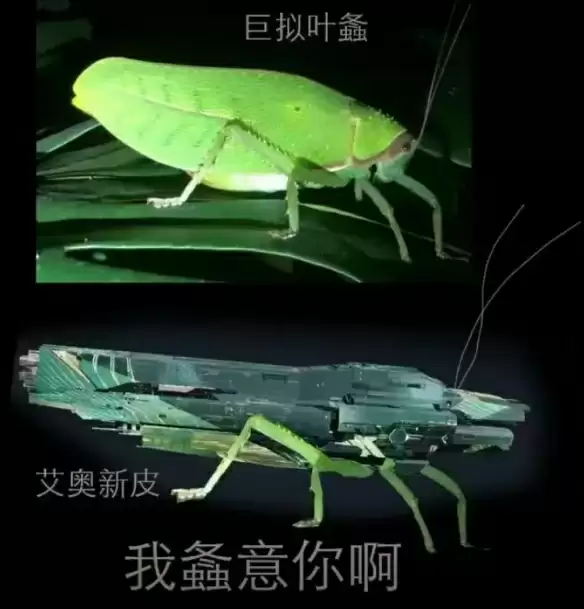 艾奥化身大绿蝈蝈，扫货福利商店，拉格地球日庆典启动！！