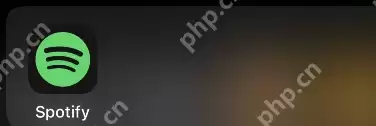 spotify音乐怎么用 spotify设置单曲循环教程