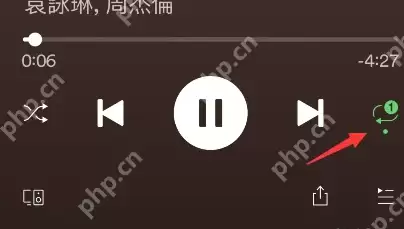 spotify音乐怎么用 spotify设置单曲循环教程