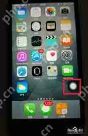 手机屏幕上出现白圈是什么