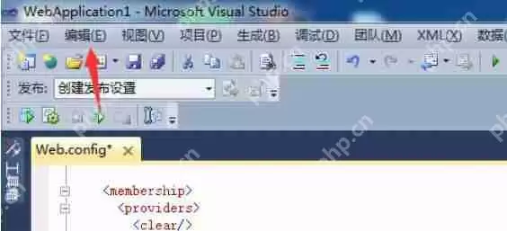 Visual Studio 2005如何查看空白_Visual Studio 2005查看空白方法分享