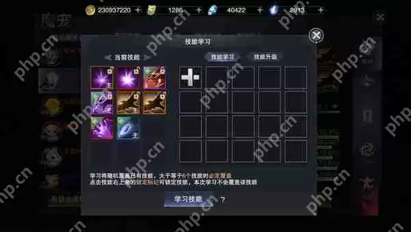 新神魔大陆如何培养自己的战宠