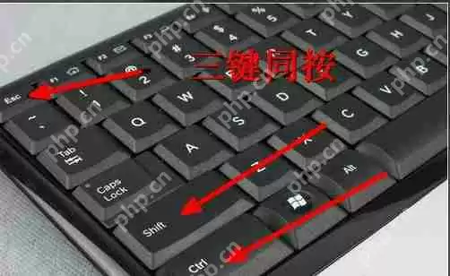 dat文件用什么打开?