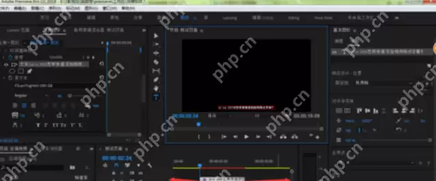 pr字幕位置如何统一_统一pr字幕位置的方法介绍