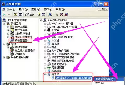 应用程序初始化失败怎么办？