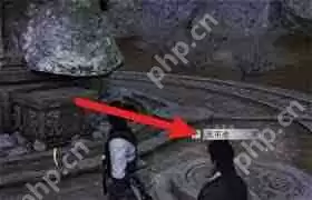 燕云十六声荆朝阳聊天对话怎么玩-燕云十六声荆朝阳聊天对话攻略