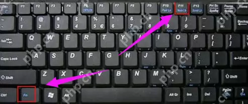 笔记本键盘打不出字_笔记本键盘打不出字多种解决方法