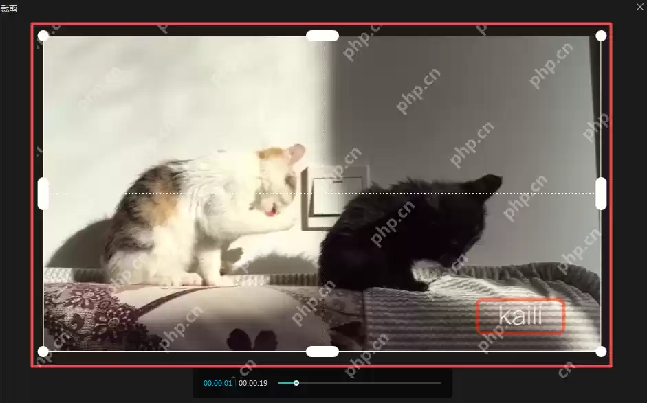 剪映怎么去除水印?剪映去除水印的方法