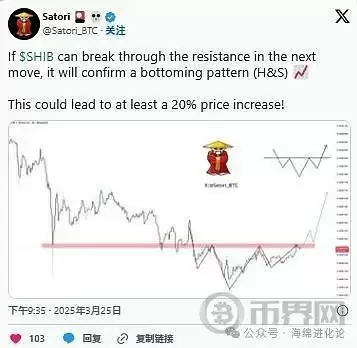 Shiba Inu 头肩形态图