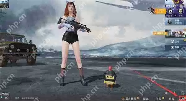 和平精英全服排名位置说明